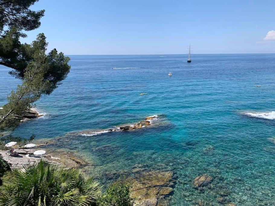 Appartamento La Superba *